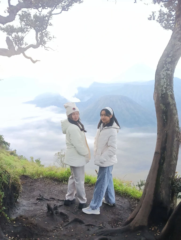 Sewa Jeep Bromo Terbaik & Murah 2026 – Balqis Group Bromo 5 Sewa jeep bromo hemat dan murah 3